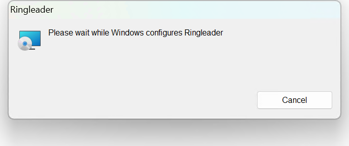 Windows configuring Ringleader during installation.
