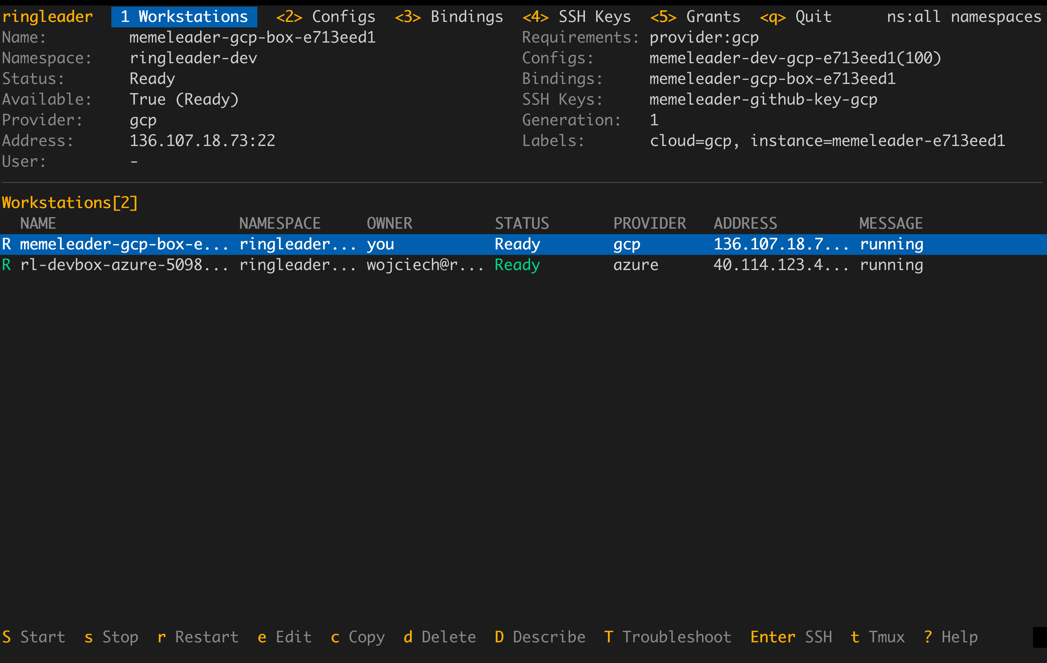 The Workstations tab: the header tabs up top, the detail pane for the selected workstation, the live table with an OWNER column, and the footer key hints.